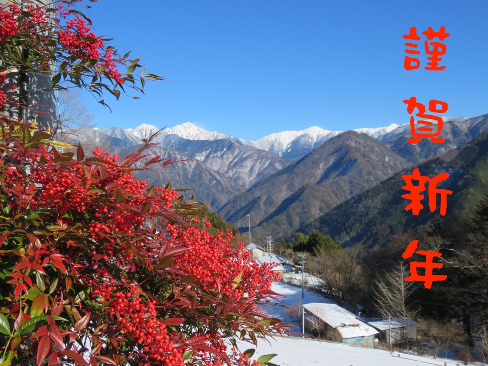 元旦