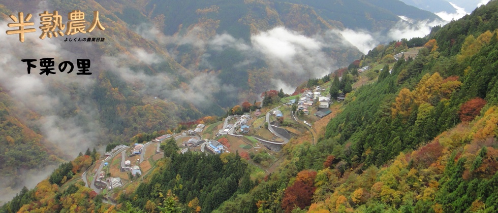 日本のチロルー下栗の里ー